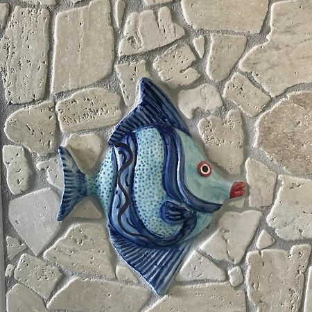 Vesuvio Rooms Gragnano Εξωτερικό φωτογραφία