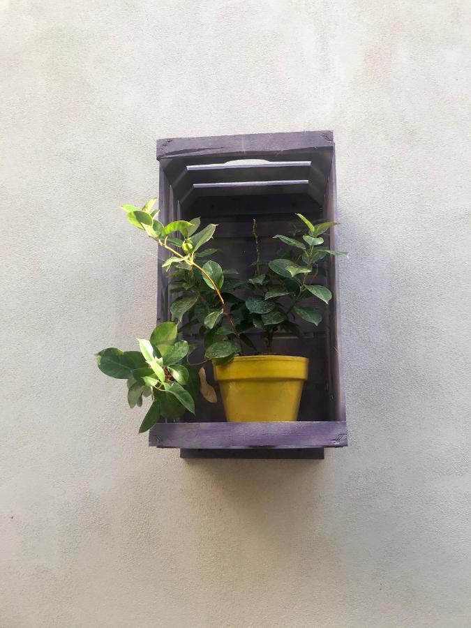 Vesuvio Rooms Gragnano Εξωτερικό φωτογραφία